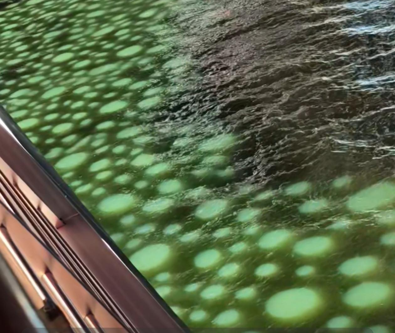 就算有钱，真的也不能乱投资！这几年生意难搞已经不是什么大新闻了，而我认识的有3