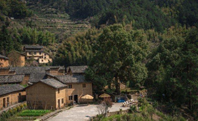 今天曝光一下我的亲生儿子。他的高中是花钱去念的，开开心心上了三年，考了一个让他