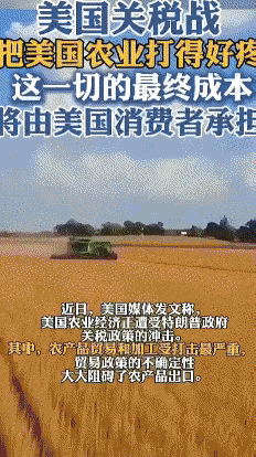 美国农民哽咽绝望了：我种出了平生最好的庄稼，却只能就地销毁，因为中国不买了近