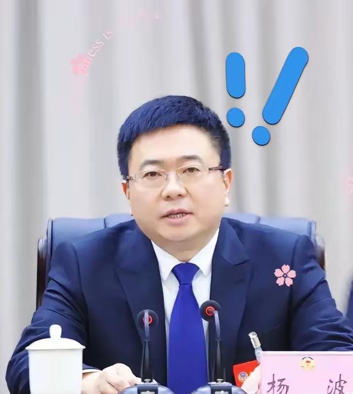 昨天被恩阳区杨波书记被查的文章刷爆，大概了解了一下，杨波作为第二任恩阳区委书记，