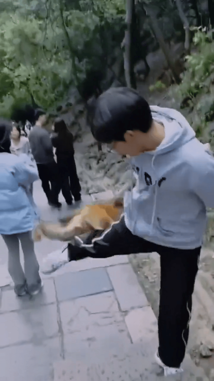 我变成黄v了你们会嫌弃我吗🥹​​​