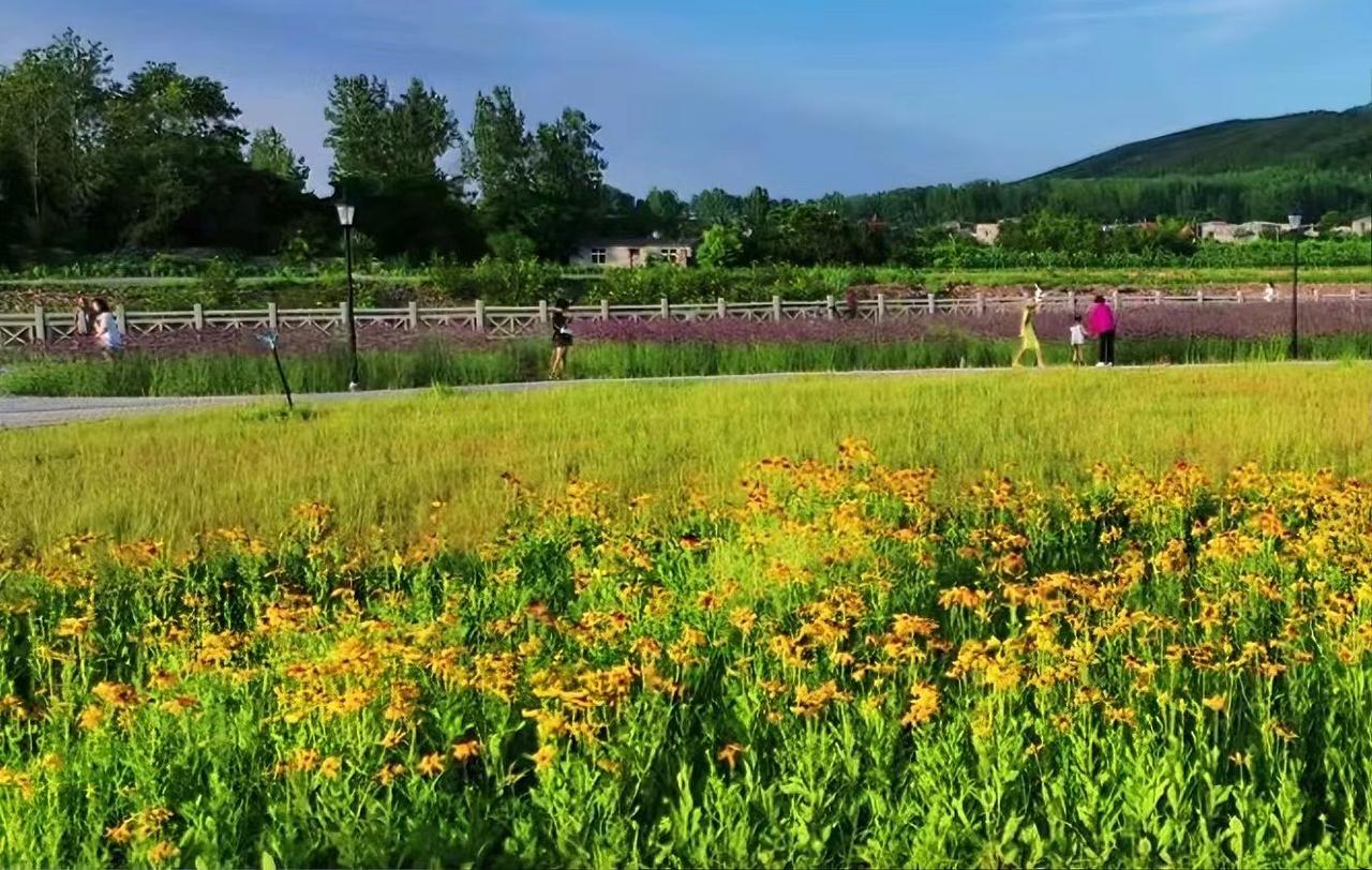 风是软的，裹着新草的清甜，漫过这片刚醒转的郊野。近处的萱草举着金盏似的花，