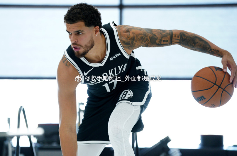 太阳队主场以106-102战胜篮网。本场比赛篮网队球员迈克尔波特表现出色，登场3