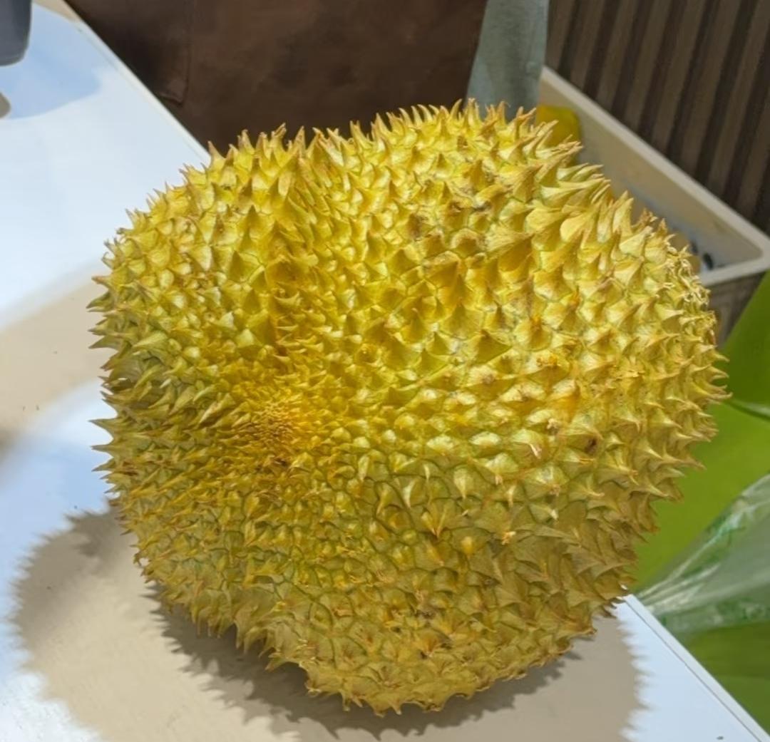 终于弄明白了！为什么今年榴莲价格很便宜，不是主播把价格打下来的，也不是它不想卖