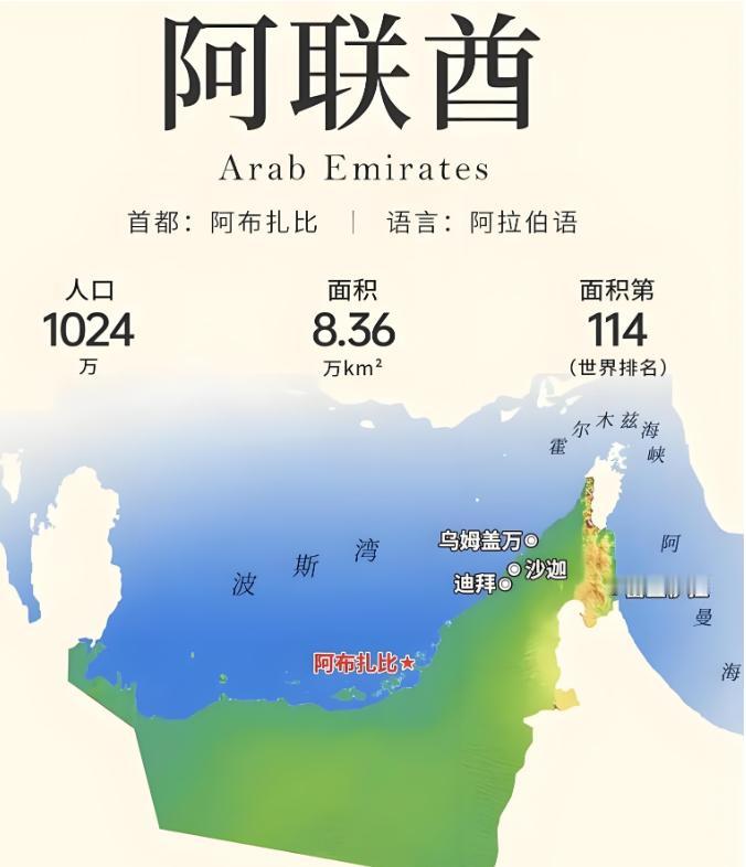 🐼阿布扎比的王储来了。专机在北京降落的那一刻，这位酋长心里怕是不太好受。不