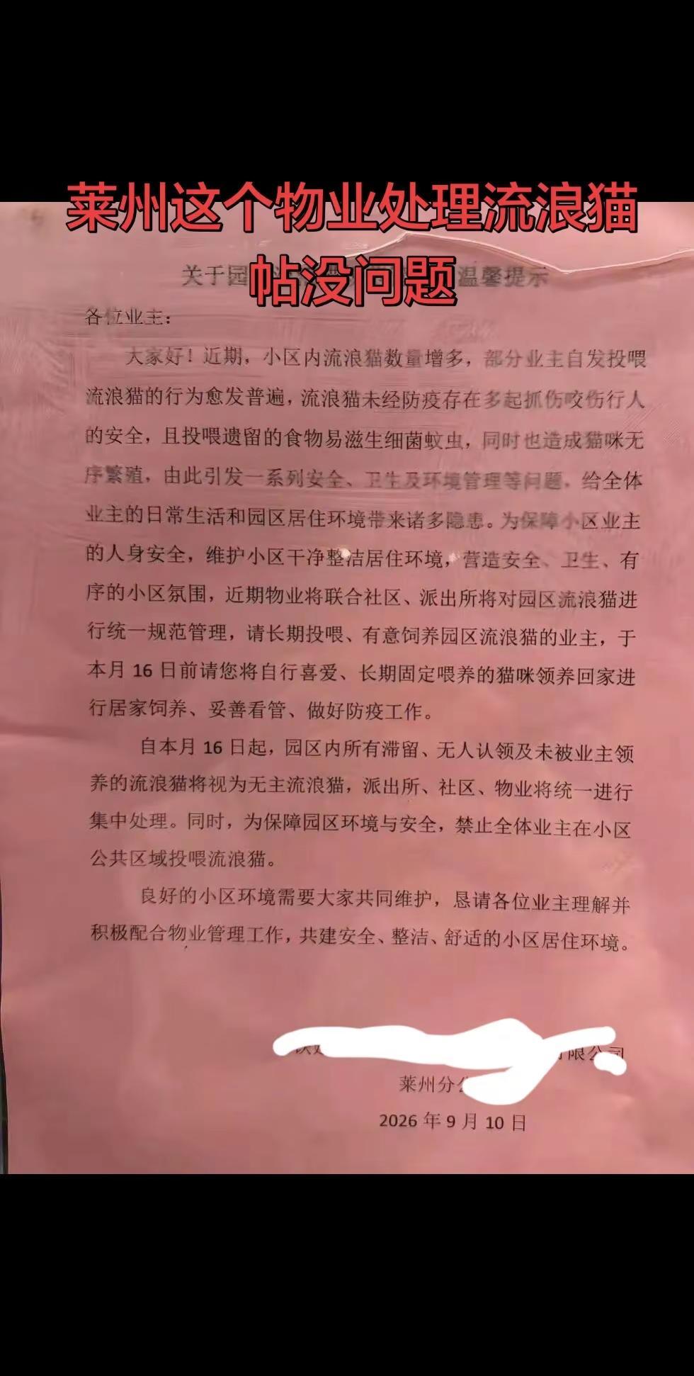 看到莱州最近某物业发的处理流浪猫的帖子引发争议，我想表达一下自己的看法：