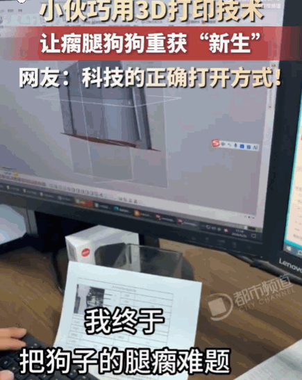 功夫不负有心人！河南，一小伙因心疼自家小狗瘸腿、生活质量暴跌，硬是化身“硬核工程