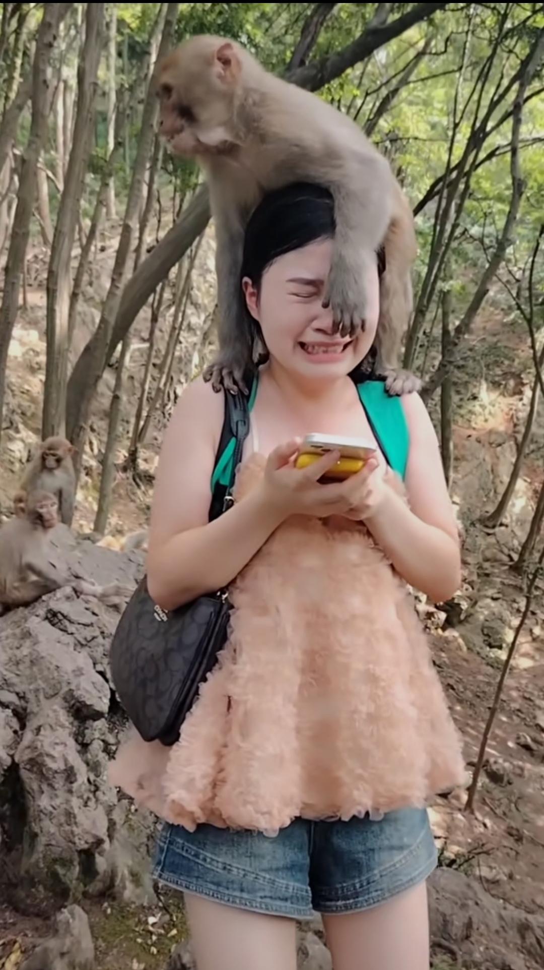 怕还去挑战猴哥，人家姑娘吓的浑身发抖，旁边的人还幸灾乐祸[捂脸哭]