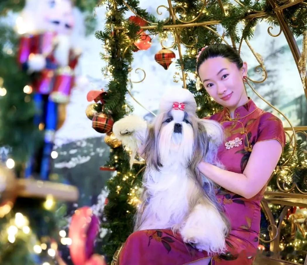 霍思燕太长脸了，穿旗袍带着自己的西施犬参加国际比赛结果夺冠了，霍思燕状态引热议。