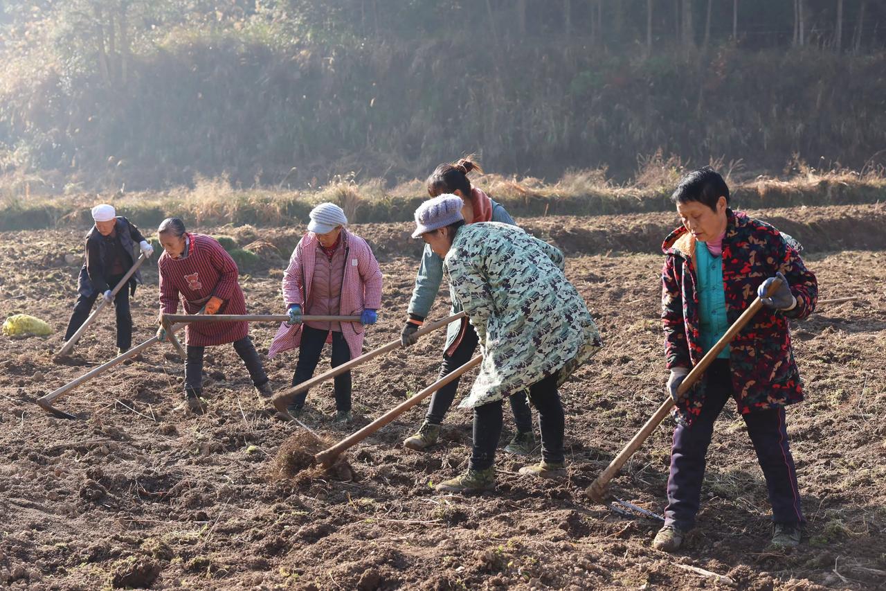 农村六七十岁老人耕田种地，养猪养鸭的场景遍地都是，提出这个问题的人真是太不接地气