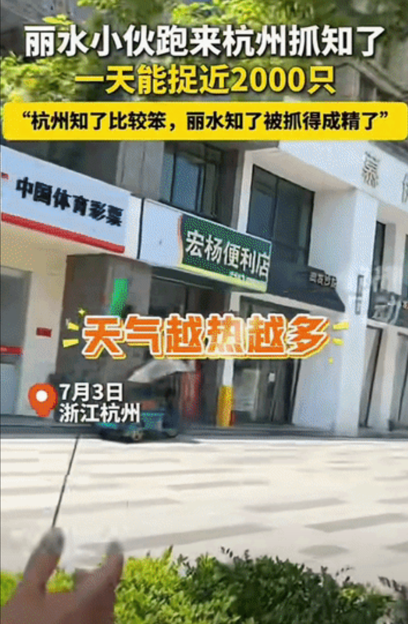 “抓不完，根本抓不完！”浙江杭州，一名小伙子因为抓知了一夜爆火了，奇葩的是，小伙