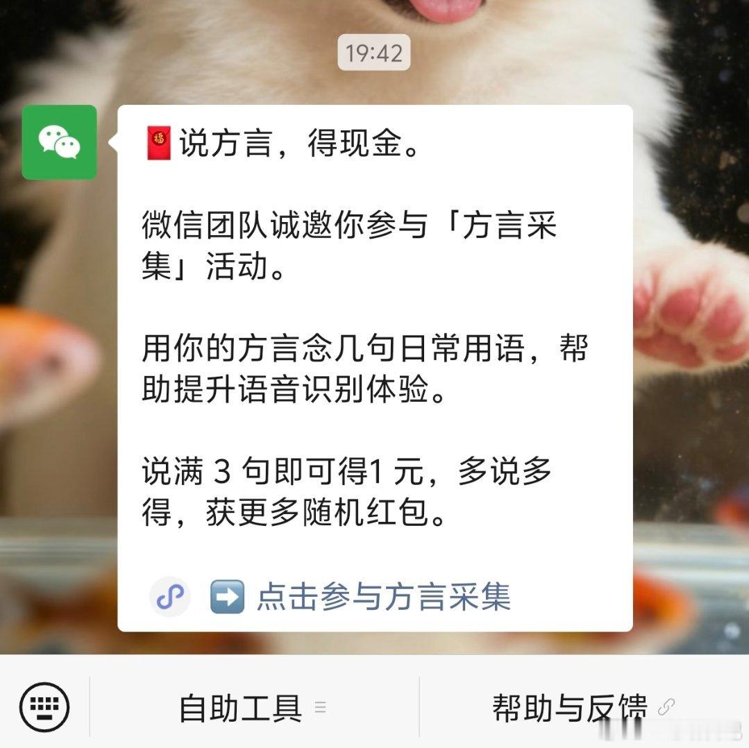 替大家试过了，一天最多能说200句话，不过也四十多了，这种活动一定要多办！！！微