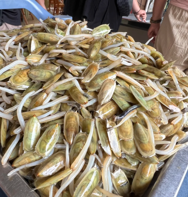 来个北海人解释一下！这是啥美食？是一种海鲜吗？怎么做来吃？