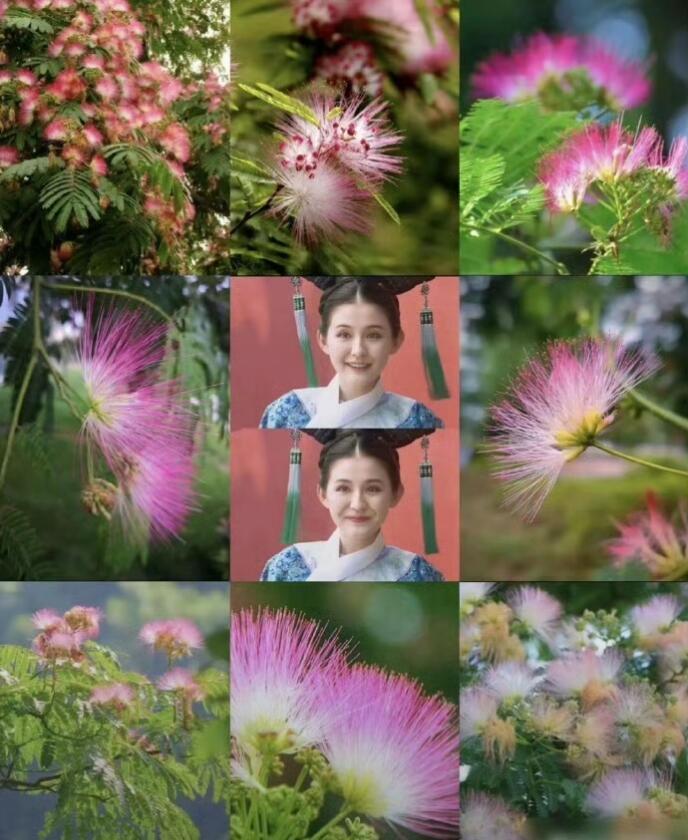 《甄嬛传》这也太形象了吧哈哈哈！好有年味