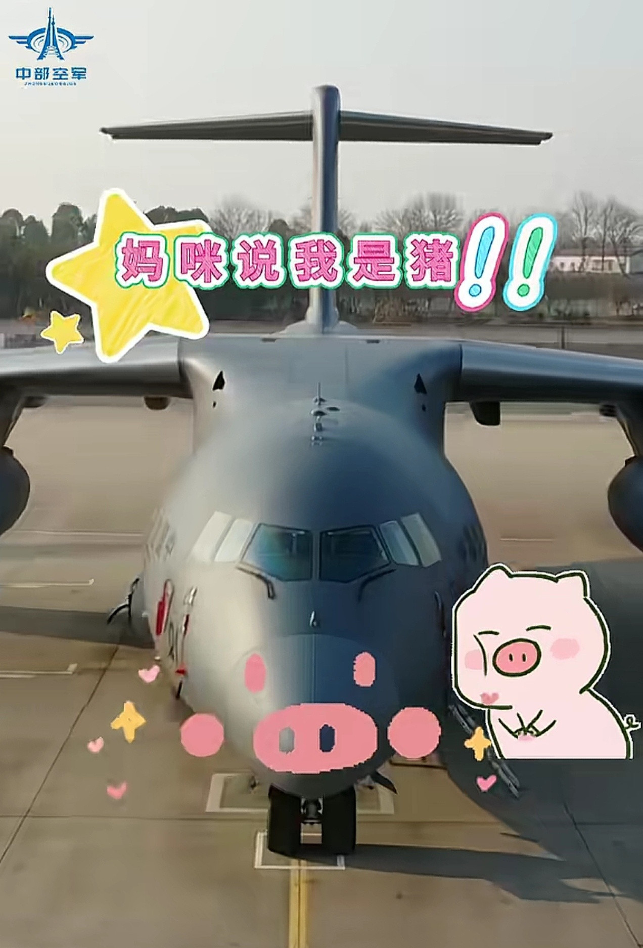 运20列装十周年运20被称为“猪”了