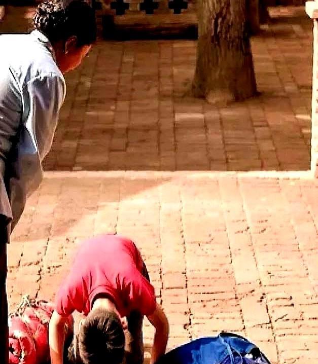 方励跪求排片那会儿，观众真哭。现在？你跪，系统直接给你降排片。《百鸟朝凤》