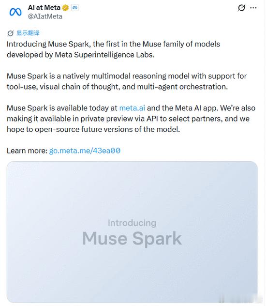 【Meta首发闭源大模型】Meta发布新AI模型系列Muse砸下数百亿美元，耗时