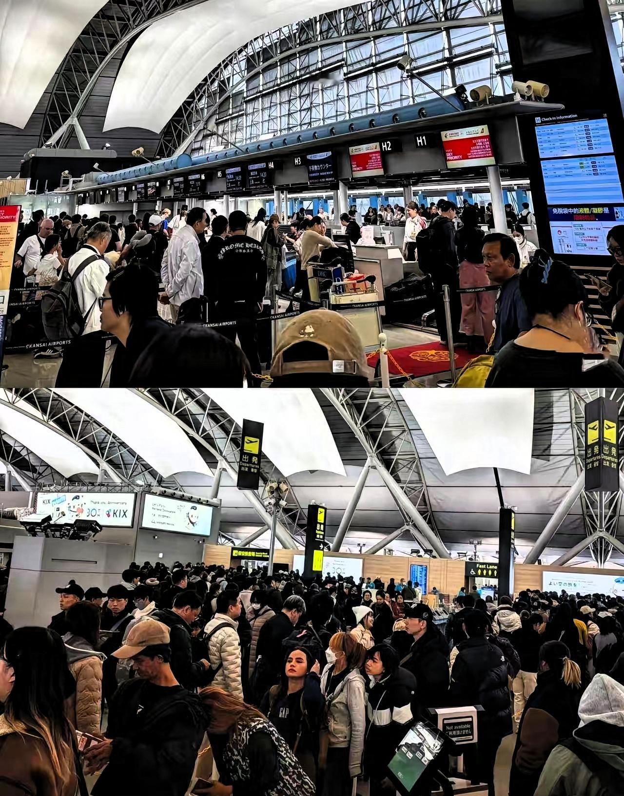 傻眼了吧，赴日旅游这就是不听劝的后果，去的潇洒，想回来可不容易了。航班取消买不到