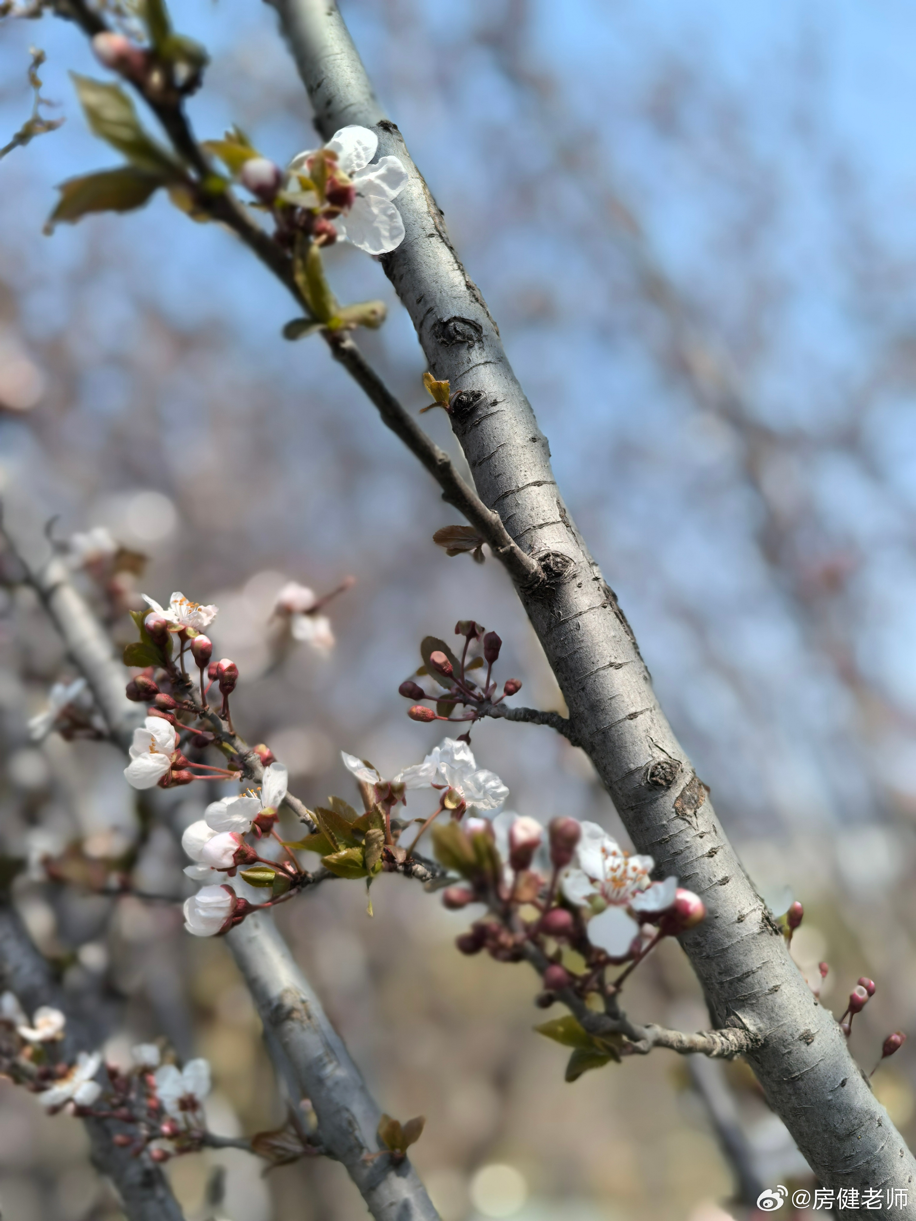 春光明媚☀️出来耍😜希望今年能有较多的户外活动时间……济南·孟家水库
