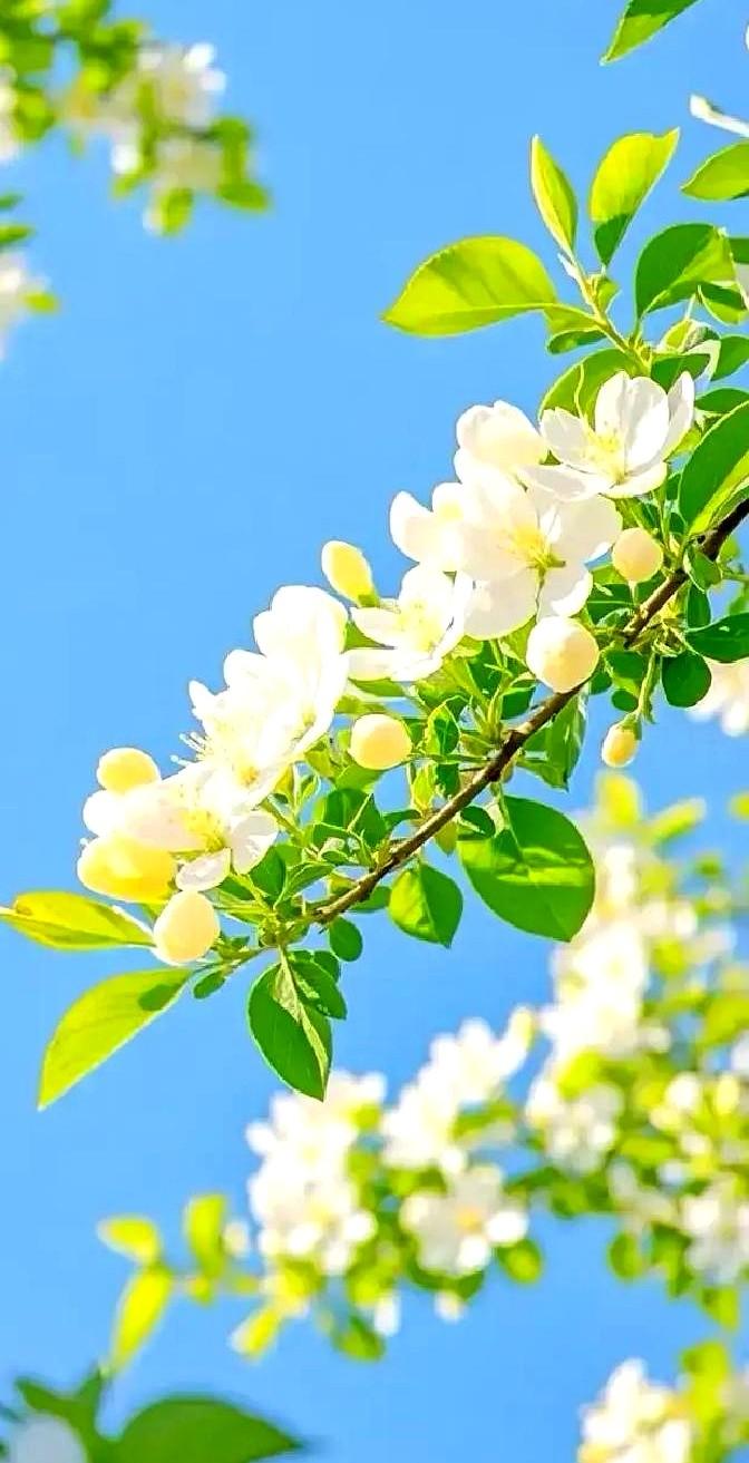 十几个刚读完大一的985新生拉了个群寒假返母校想给学弟学妹讲学习方法据当事人微博