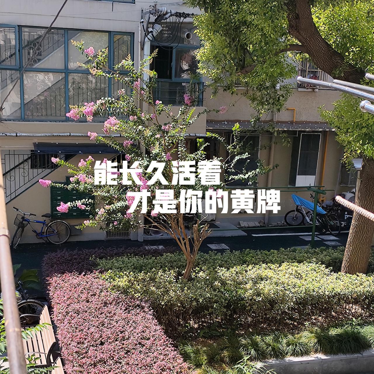 能长久活着才是你的黄牌——本人是中晚期卵巢癌，手术完后，主动寻求中西医结合医院
