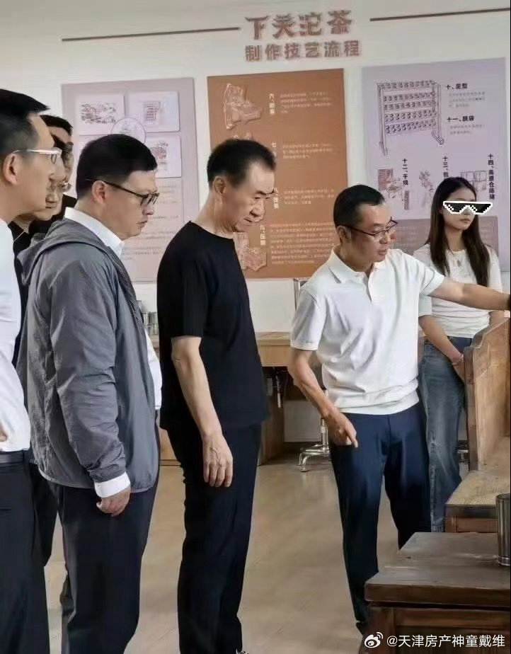 王建林在云南，儿子在法国度假