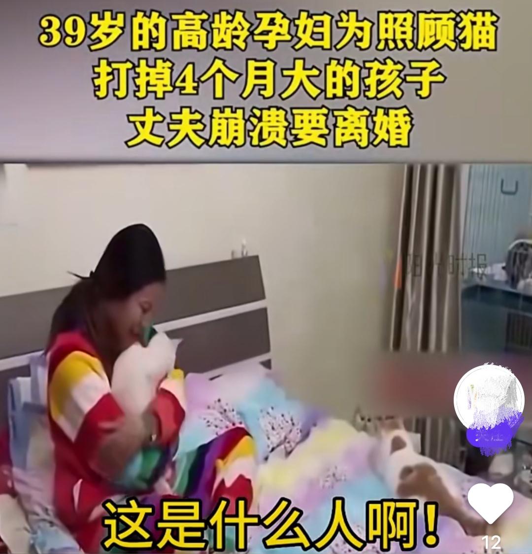 39岁高龄孕妇为了照顾猫，打掉4个月大的孩子，丈夫崩溃要离婚。听上去是不是觉