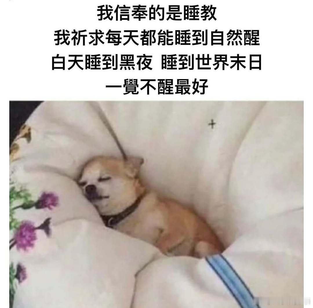 分享图片​​​