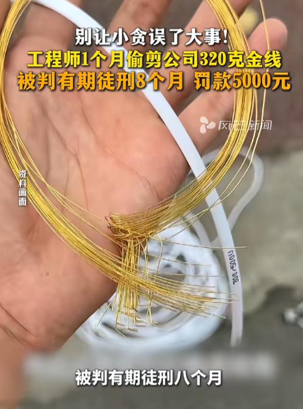 “胆子太大了！”5月2日半岛晨报报道，福建厦门，当地检察机关公布了一起案例。一工