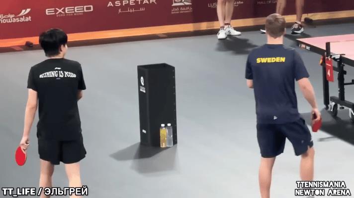 王楚钦打台球被安东模仿动作蛐蛐！前阵子刚过去的多哈世锦赛，王楚钦夺得男单和混双