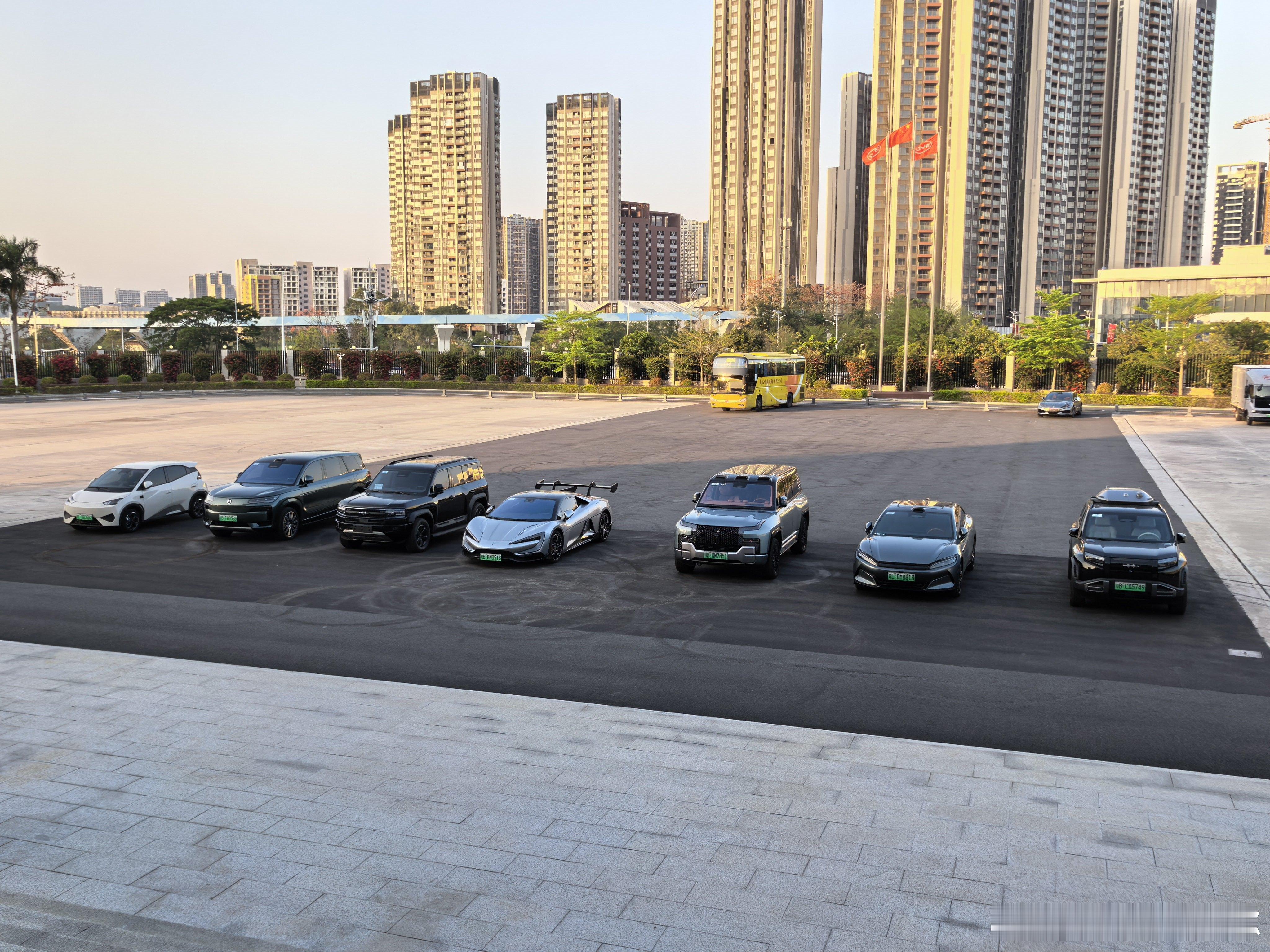 海鸥你这小老弟搁这干哈呢？我与汽车的日常深圳·六角大楼