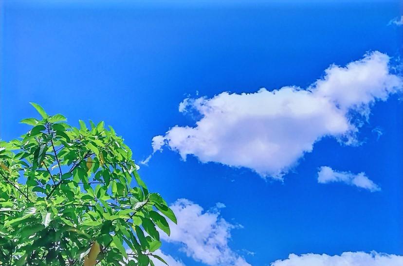 暑假第三天，天花板传来密集的跑步声，两个孩子穿着塑料拖鞋在跑跳，阳台冲到厨房，在