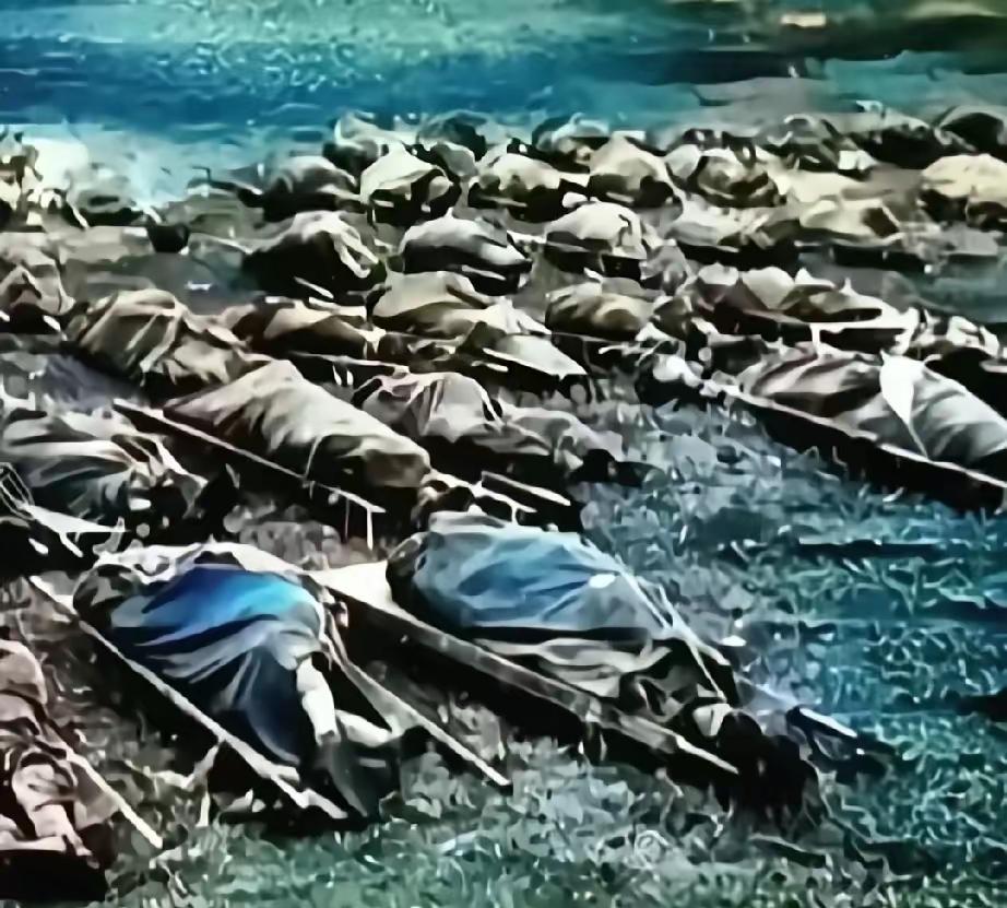 这一排排都是二十岁左右的年轻生命，永远留在了那片土地。我真的每次刷到这张图