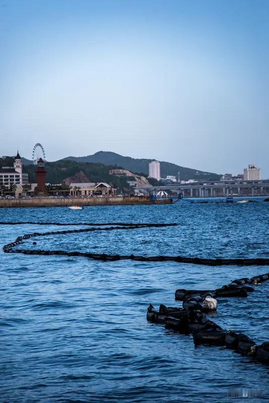 我在威海定居已有20年，此前居住在冰城哈尔滨。自小就对海滨城市心驰神往，于是来到
