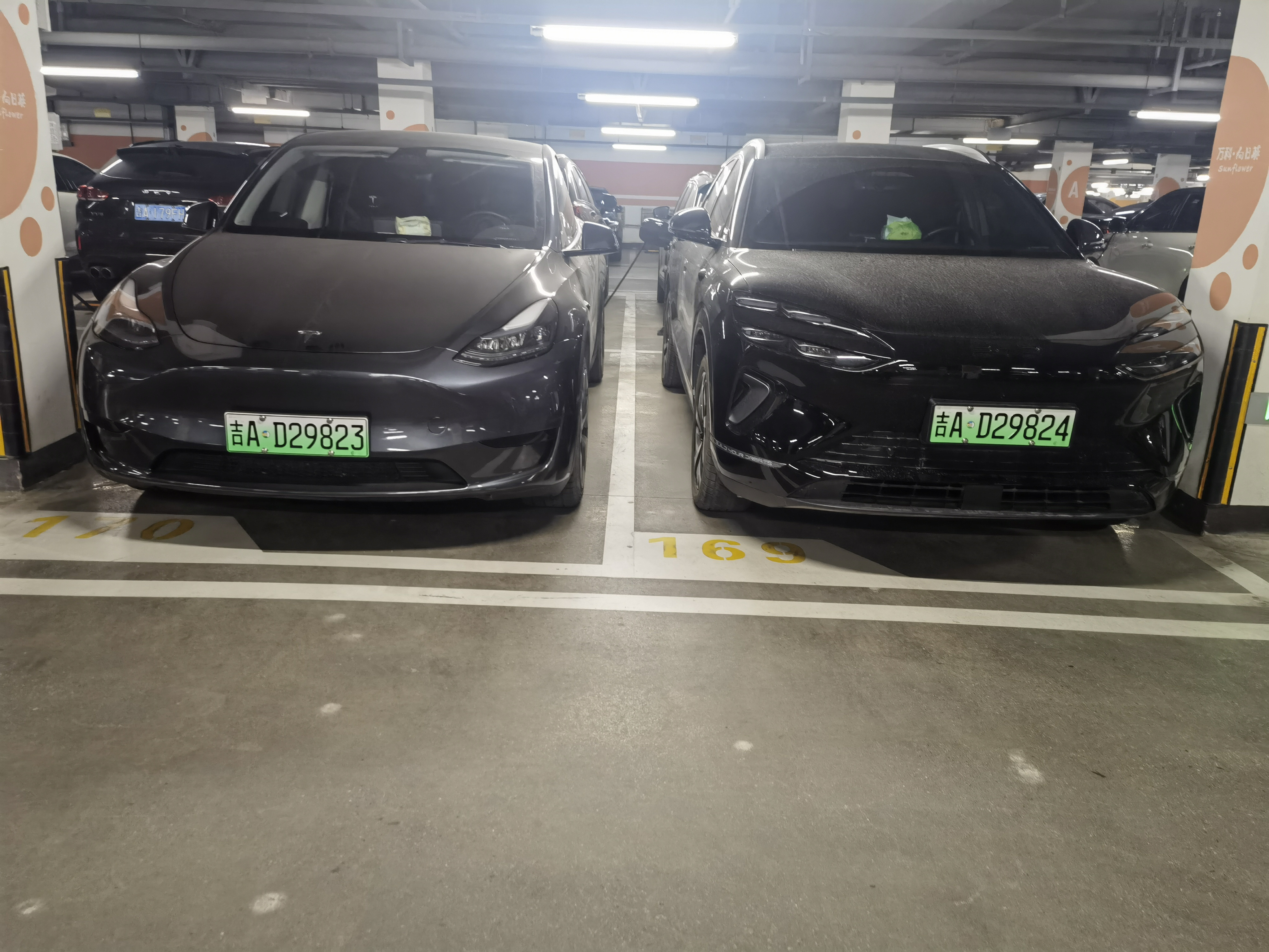 说到比亚迪这次定在3月5号（就是惊蛰那天）的发布会，我跟你说，这绝对是一场要掀翻