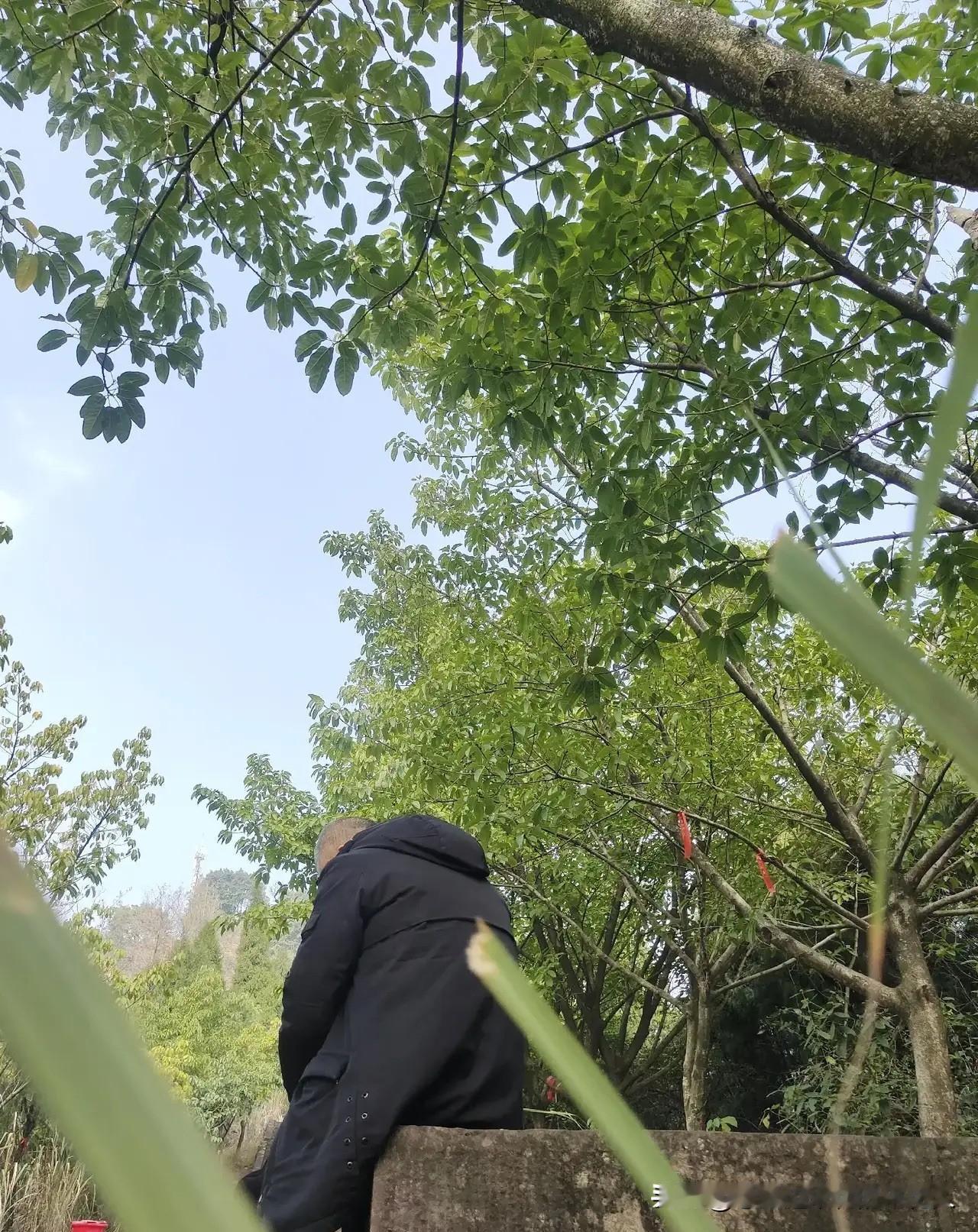 退休后别焦虑，把日子过成自己喜欢的样子退休后啊，真没必要瞎焦虑。现在人均