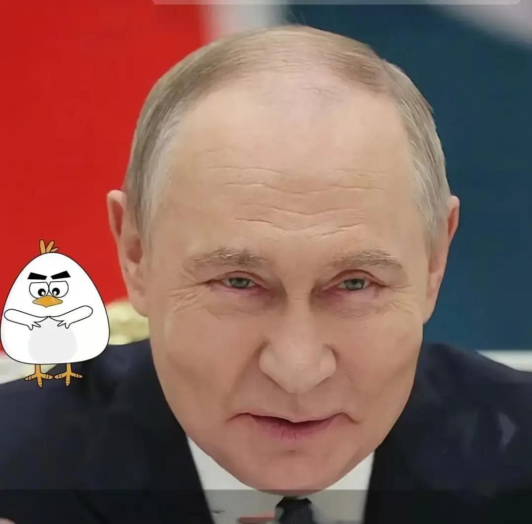 就在刚刚俄军突然动真格了2025年11月25日凌晨，俄罗斯动用了464架无人