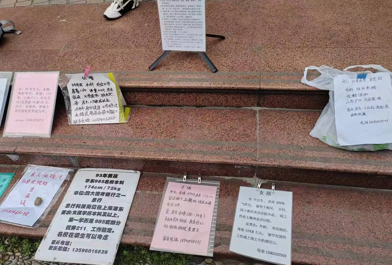 大龄剩女已经是一个非常严重的社会问题，上海人民公园的相亲角，就说明了这个问题。