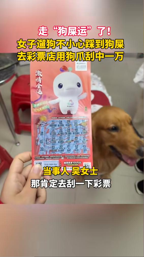 这是真的“狗屎运”！近日，广东深圳，一女子遛狗时，不小心踩到了狗屎，于是就想去彩