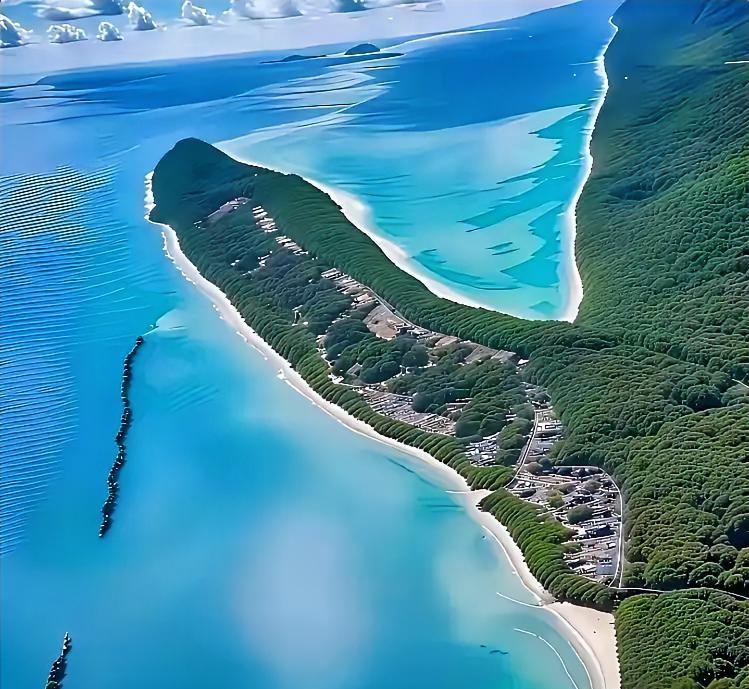 田埂上的牛儿在晒太阳桂花努力的在吐芬芳高粱挺直了腰杆鱼儿在水里游荡稻谷一