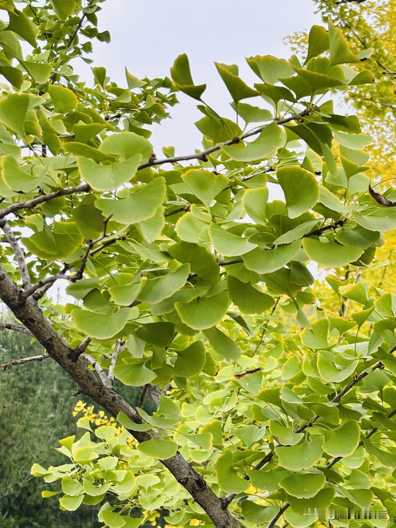 你们会让孩子学什么专业？刚和一朋友聊天，说他家孩子今年高三了，想想准备让孩子报