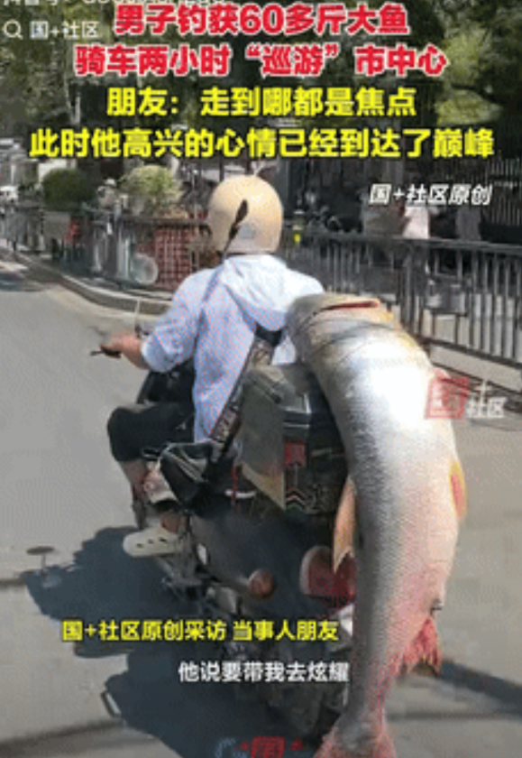 “都是命啊！”江西南昌，一男子钓获60多斤大鱼，为给众人炫耀，叫上朋友骑了2个多