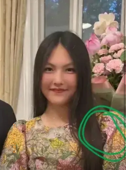湘估计晚上睡不着觉了不是因为她的事业，也不是因为她的老公，更不是因为她和释总