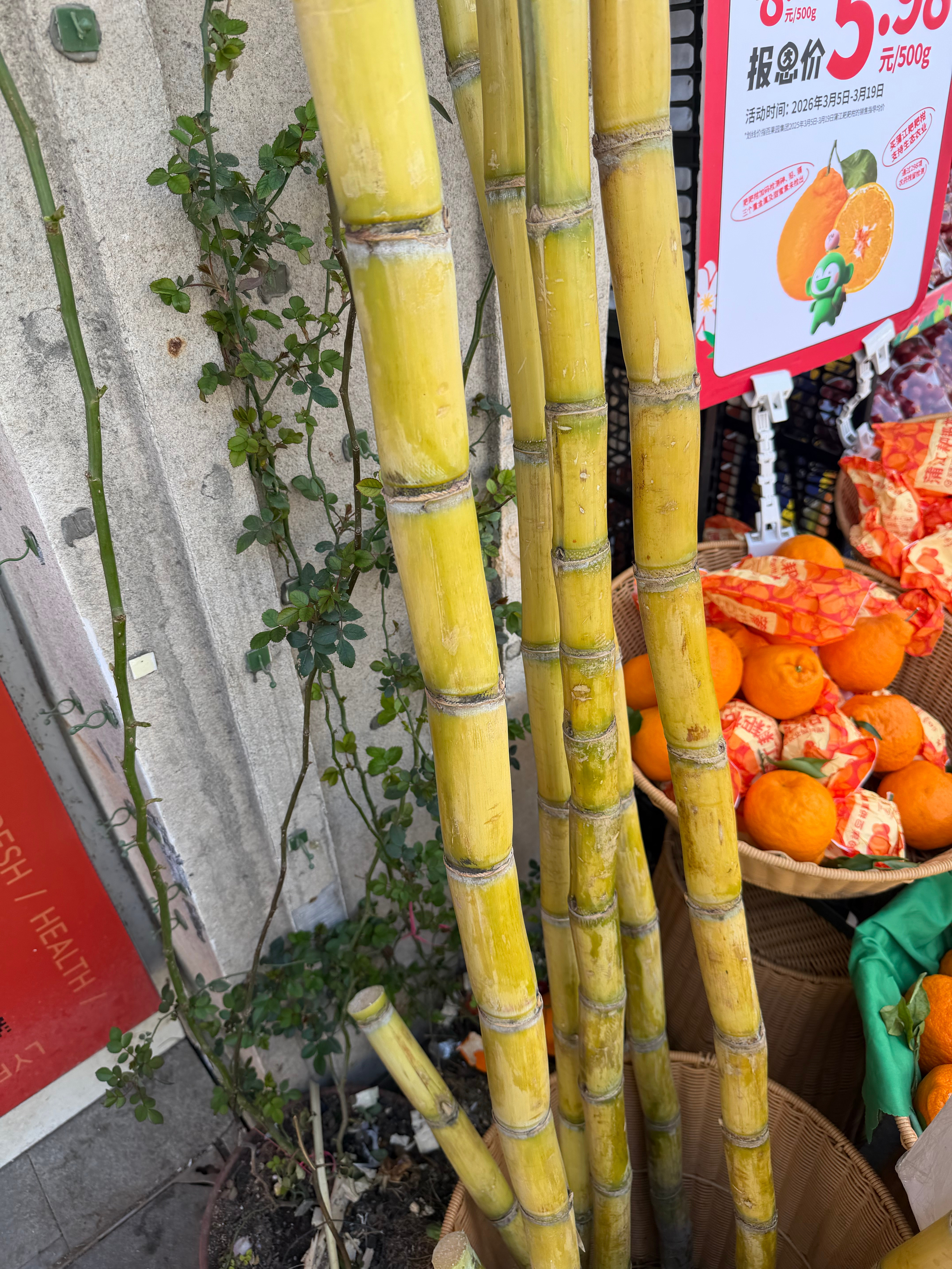 卧槽，路过甘蔗，特么一根70块