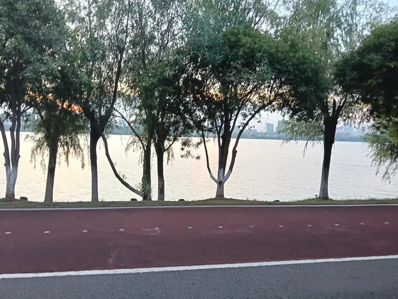 看看这江西南昌艾溪湖畔的美景。真的给人一种清凉的感觉，挺适合放松的。这边虽然