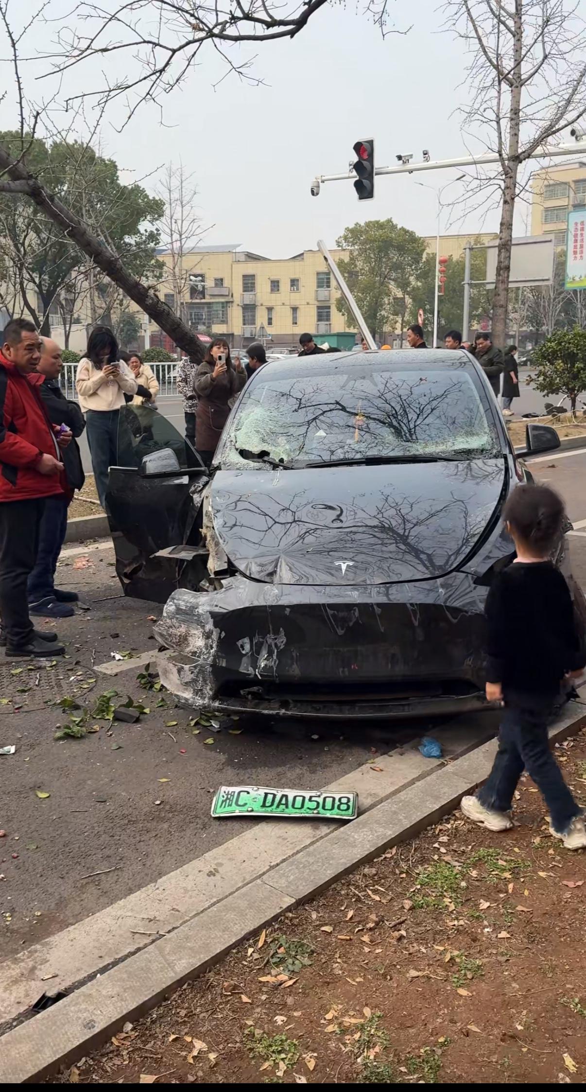 在上个礼拜的一起交通事故中，湘C牌特斯拉快速撞到栏杆冲向绿化带撞倒了一棵大树并冲