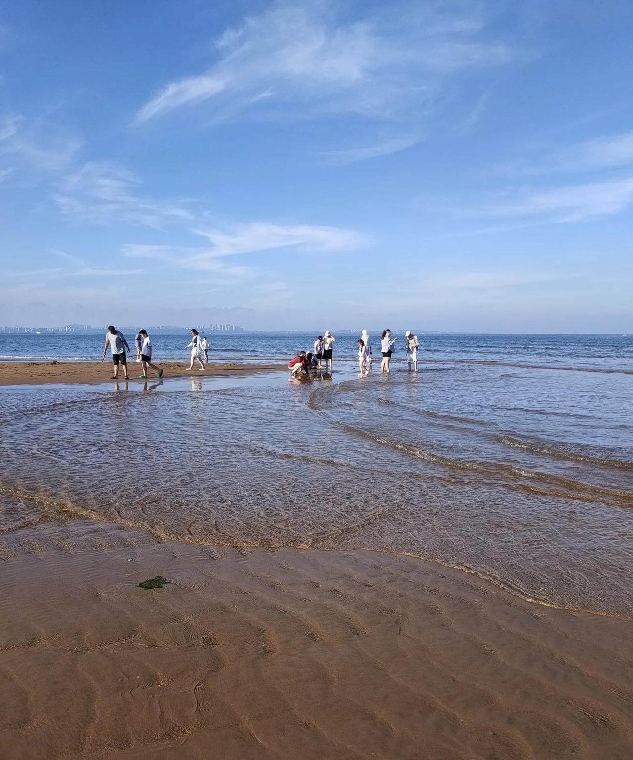阳光洒满沙滩，海浪轻拍脚边，夏季赶海时光。#海边踏浪漫步##赶海##沙滩赶海