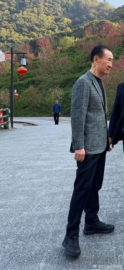 王健林近照曝光，他瘦脱相了！王健林出现在泉州永春，他身穿灰色格纹西装，内搭一件黑