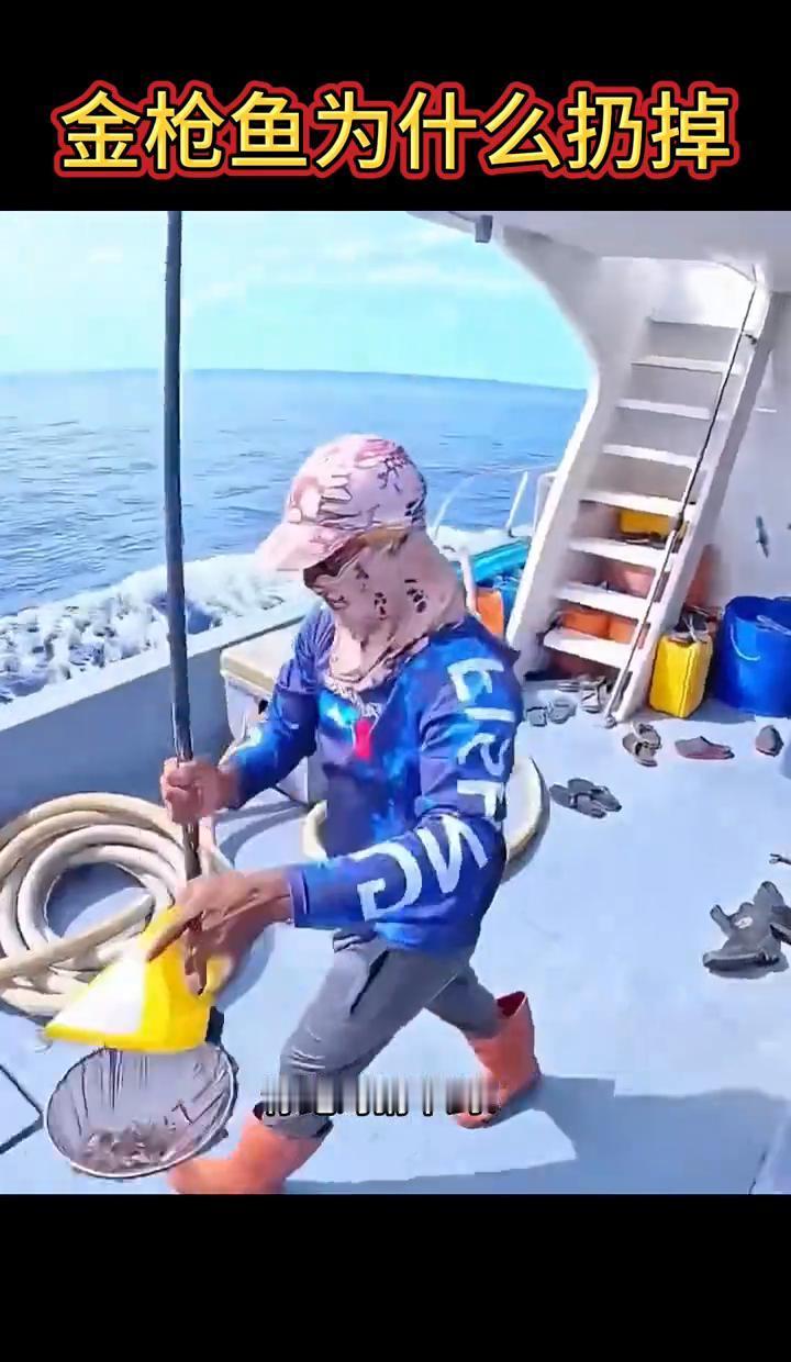 钓上一条疯狂扑腾的金枪鱼，老渔民会立刻剪断鱼线。不是心善，是这鱼已经“废了”。