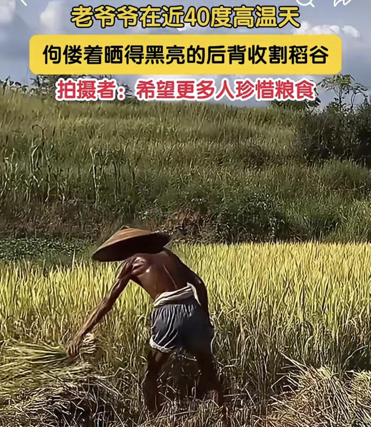 必须支持！刷到这个话题真的太有感触了！我们身边的农村老人，哪一个不是面朝